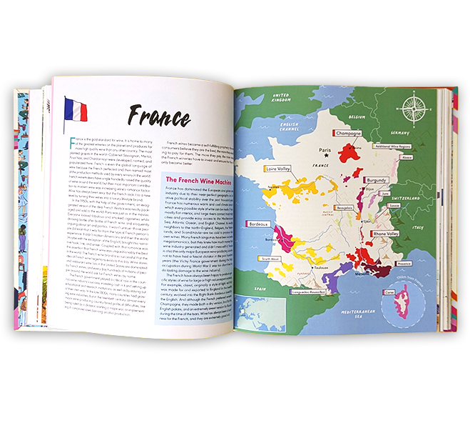 Rebel School of Wine A Visual Guide to Drinking with Confidence