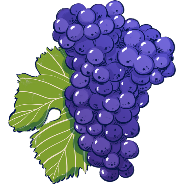 All the Major Grapes